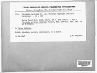 Image Associated With the Occurence